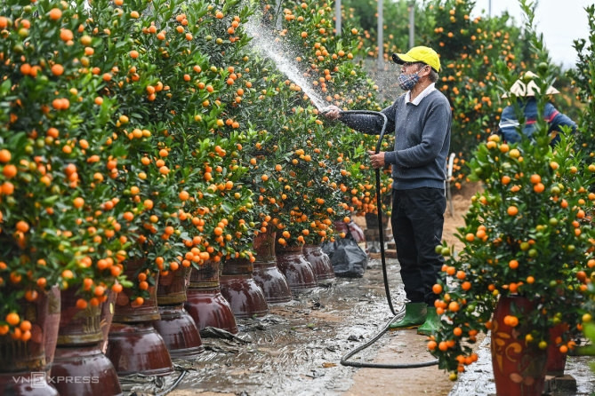 Dự kiến các ngày nghỉ lễ, Tết năm 2023