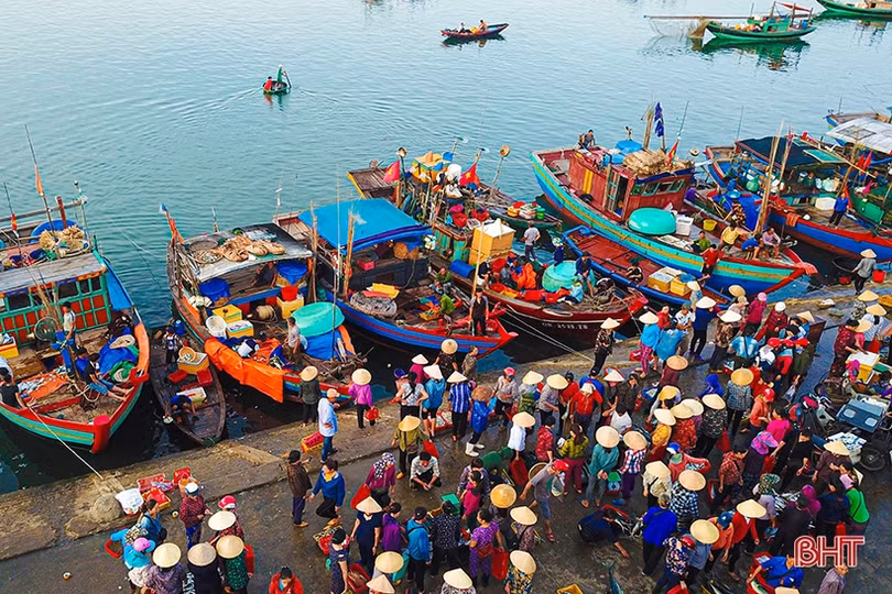 Hà Tĩnh: 2.172 tàu cá được cấp giấy phép khai thác thủy sản