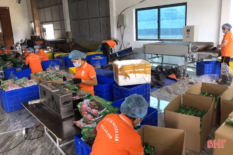 Doanh nghiệp, hợp tác xã ở Hà Tĩnh “tăng tốc” chặng cuối năm