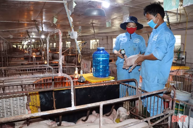 Ngân hàng tăng lãi suất điều hành: Người dân, doanh nghiệp Hà Tĩnh nói gì?