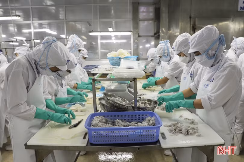 Tăng trưởng dư nợ của hệ thống ngân hàng Hà Tĩnh vượt kế hoạch đề ra