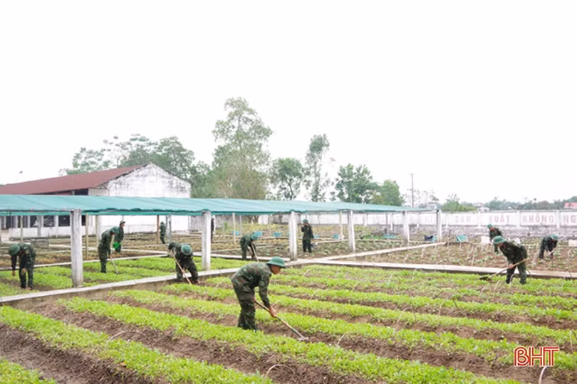 Chăm tăng gia sản xuất, đảm bảo sức khỏe cho bộ đội