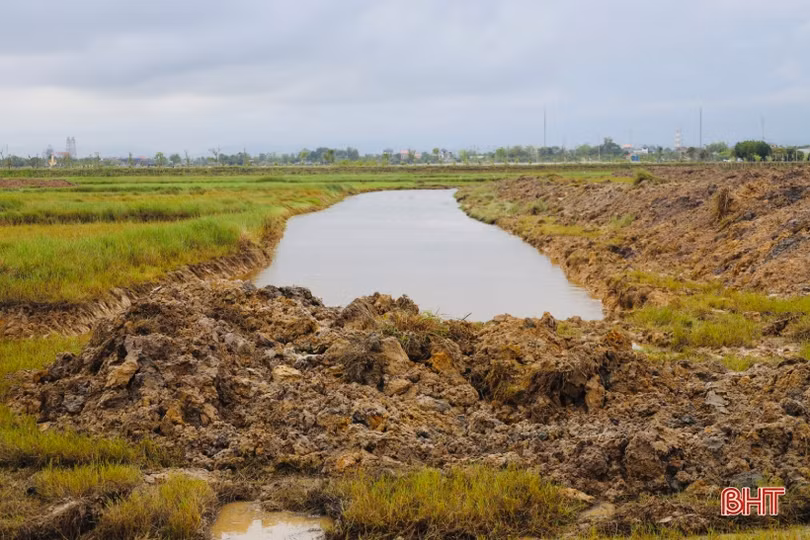 Nông dân Thạch Hạ ra quân hình thành vùng sản xuất quy mô lớn