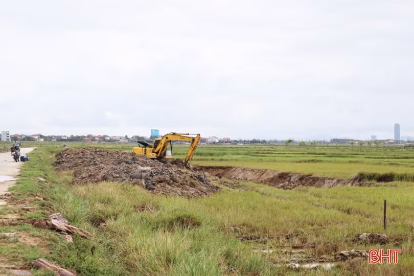 Nông dân Thạch Hạ ra quân hình thành vùng sản xuất quy mô lớn
