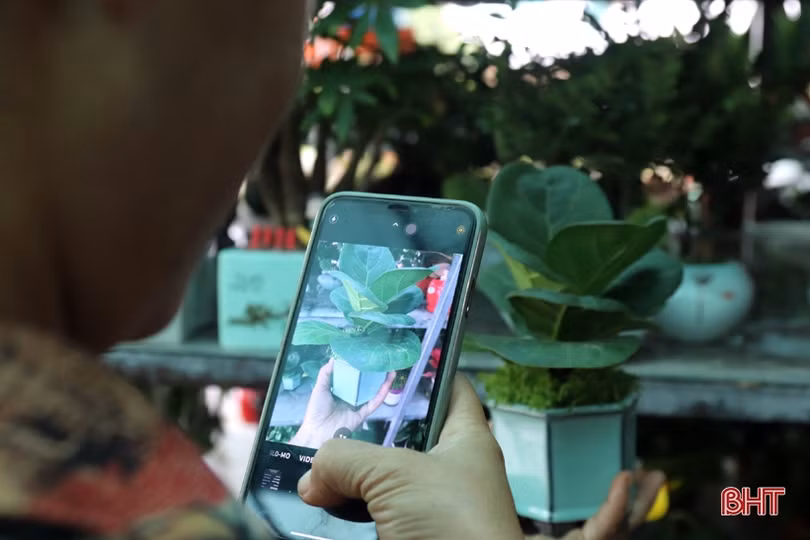 Từ bán hoa - cây cảnh thành “nông dân sản xuất kinh doanh giỏi” ở Hà Tĩnh