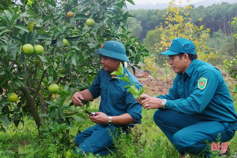 Phó chỉ huy quân sự xã ở Cẩm Xuyên chăm việc chuyên môn, giỏi làm kinh tế