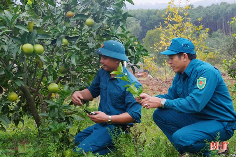 Phó chỉ huy quân sự xã ở Cẩm Xuyên chăm việc chuyên môn, giỏi làm kinh tế