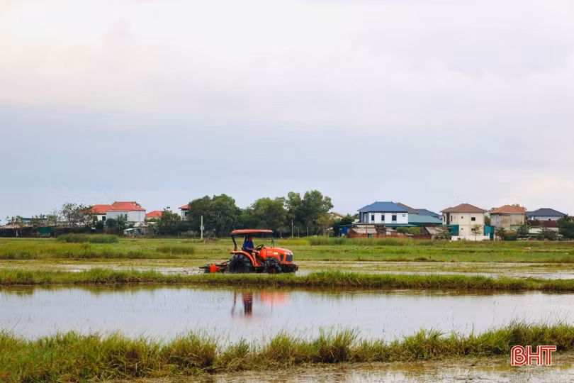 Nông dân Thạch Hạ ra quân hình thành vùng sản xuất quy mô lớn