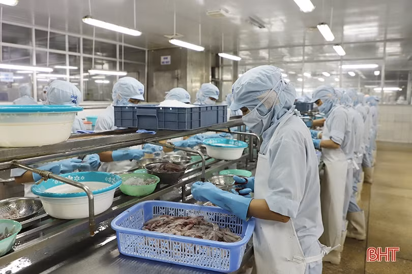 Hàng dệt và may mặc tăng trưởng cao nhất trong lĩnh vực xuất khẩu của Hà Tĩnh