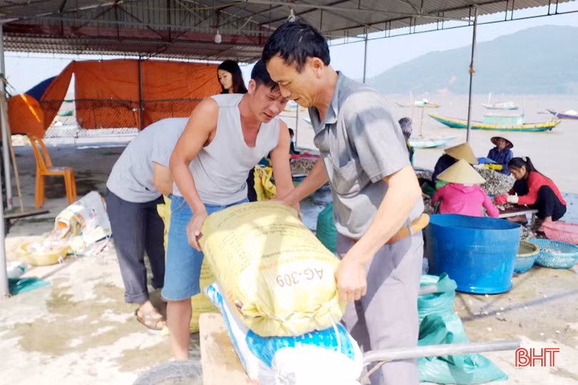 2 sản phẩm chủ lực trong nuôi trồng thủy sản ở Lộc Hà