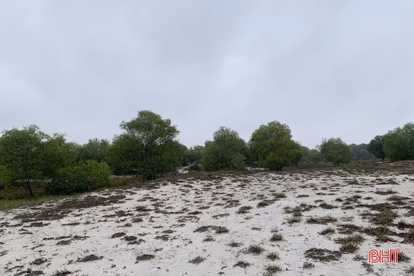 Trở lại “tử địa” của chim trời ở Hà Tĩnh