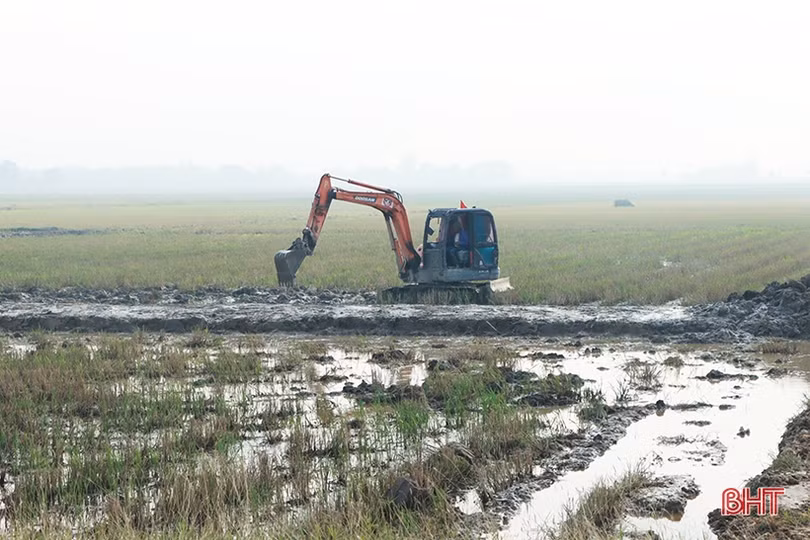 Cuộc cách mạng mới trong sản xuất nông nghiệp ở Cẩm Xuyên