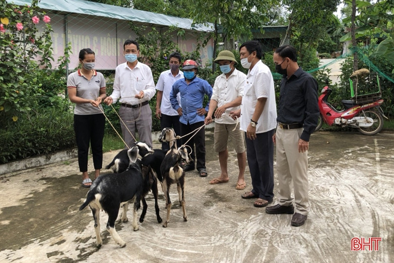 Vũ Quang vận động quyên góp hơn 3 tỷ đồng chăm lo cho người nghèo