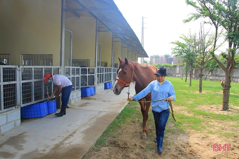 Ngành Du lịch Hà Tĩnh thiếu hơn 3.000 vị trí việc làm