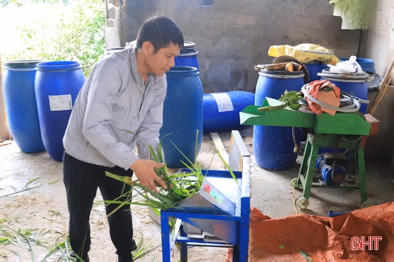 Rời Thủ đô, kỹ sư xây dựng về Hương Sơn khởi nghiệp nuôi dê