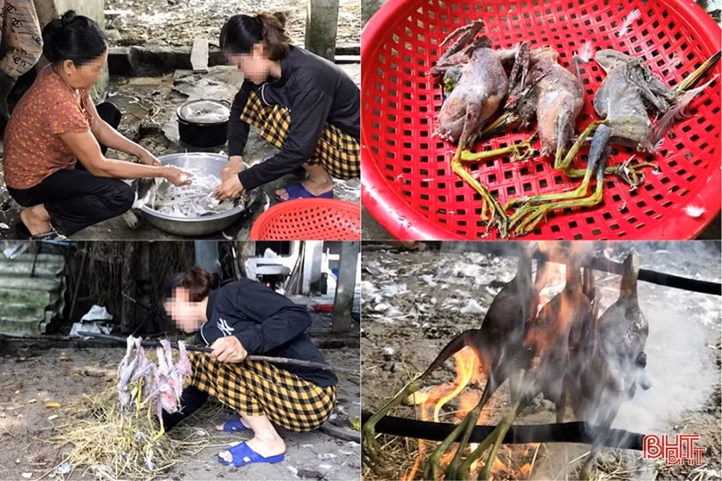 Trở lại “tử địa” của chim trời ở Hà Tĩnh