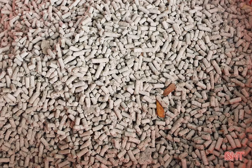 Triển vọng nuôi ếch thương phẩm trên ao cá của nông dân Cẩm Xuyên