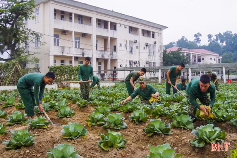 Chăm tăng gia sản xuất, đảm bảo sức khỏe cho bộ đội