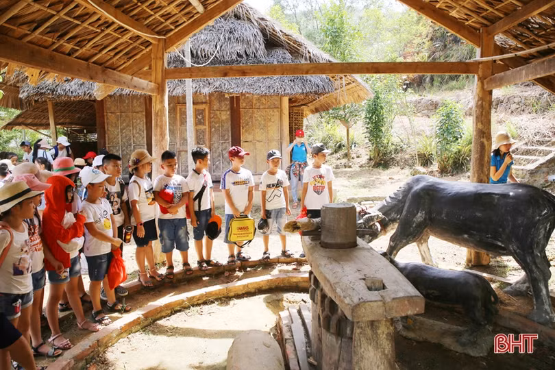 Ngày hè lý thú của học sinh trường Albert Einstein