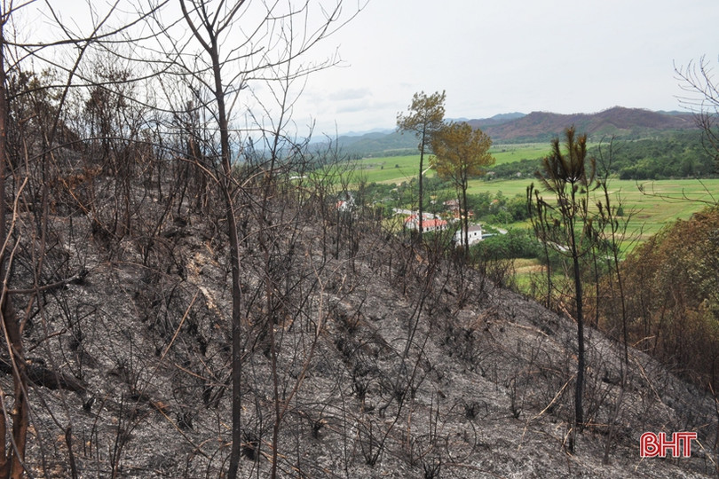 Núi Nầm Hương Sơn hoang tàn sau 2 trận cháy liên tiếp