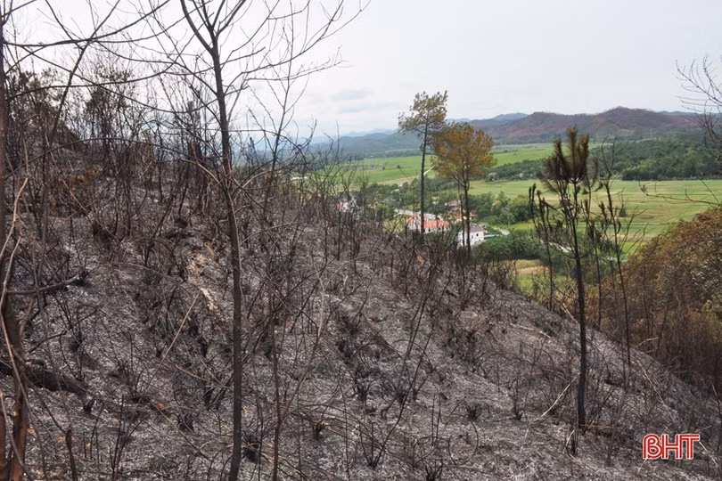 Núi Nầm Hương Sơn hoang tàn sau 2 trận cháy liên tiếp