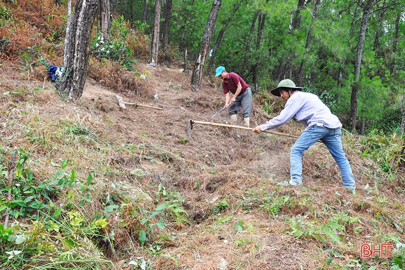Hương Sơn sẵn sàng lực lượng ứng cứu, ngăn lửa rừng bùng phát trở lại