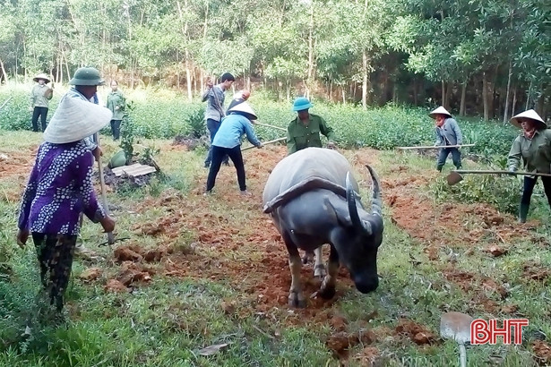 Nông dân Hà Tĩnh góp hơn 9 tỷ đồng xây dựng nông thôn mới