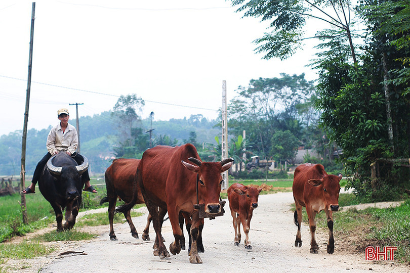 Trở về tuổi thơ cùng những ngày hè thú vị của trẻ em Hà Tĩnh