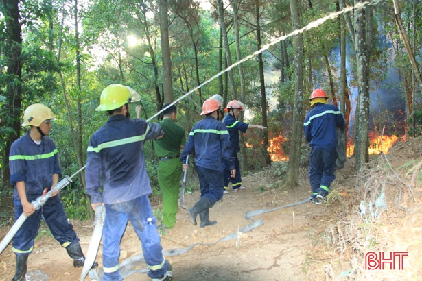 Bao giờ rừng lại xanh tươi!?