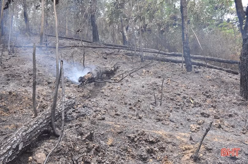 Núi Nầm Hương Sơn hoang tàn sau 2 trận cháy liên tiếp