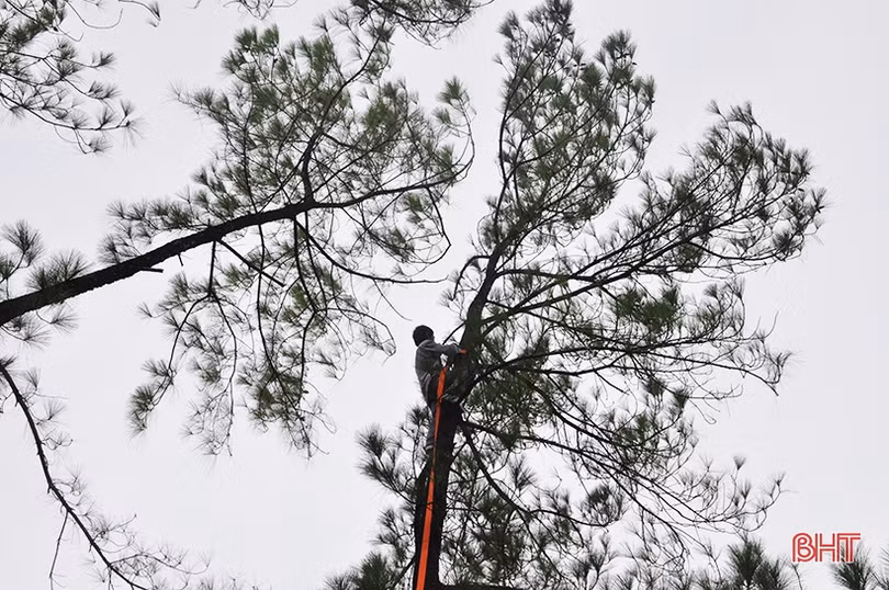 Hương Sơn sẵn sàng lực lượng ứng cứu, ngăn lửa rừng bùng phát trở lại