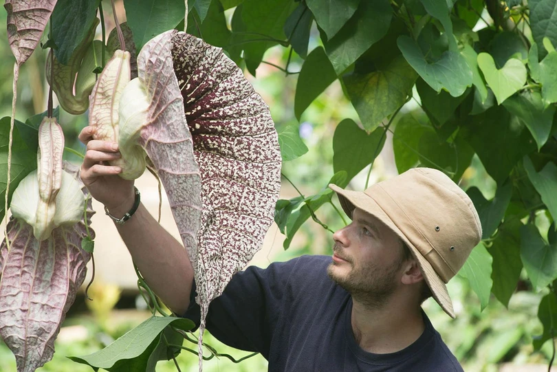 Những cây hoa “quái vật” có vẻ ngoài kỳ dị nhất thế giới