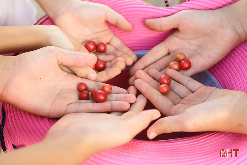 Trở về tuổi thơ cùng những ngày hè thú vị của trẻ em Hà Tĩnh