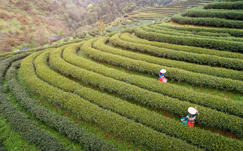 Hội An dẫn đầu bảng xếp hạng thành phố tốt nhất thế giới năm 2019