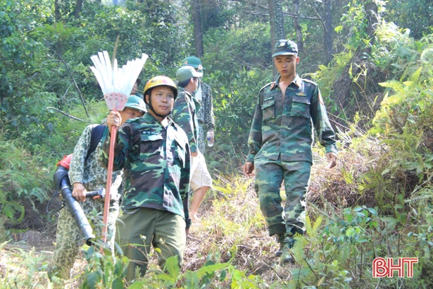 Bao giờ rừng lại xanh tươi!?
