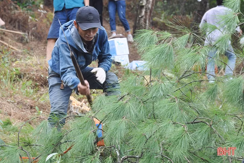 Hương Sơn sẵn sàng lực lượng ứng cứu, ngăn lửa rừng bùng phát trở lại