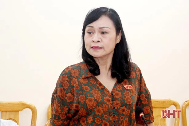 Thẩm tra báo cáo, dự thảo nghị quyết trình Kỳ họp thứ 10 HĐND tỉnh Hà Tĩnh