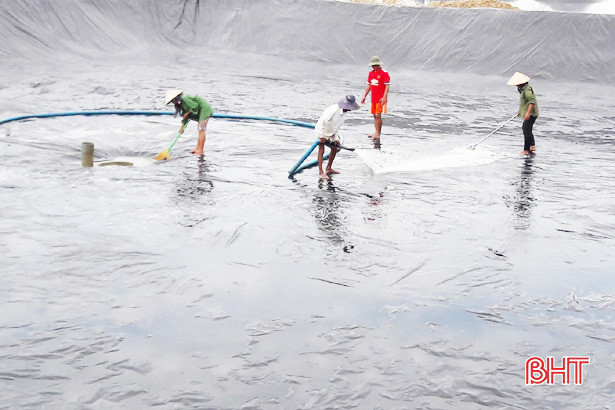 Sản lượng thủy sản Lộc Hà tăng cao, đạt gần 144 tỷ đồng