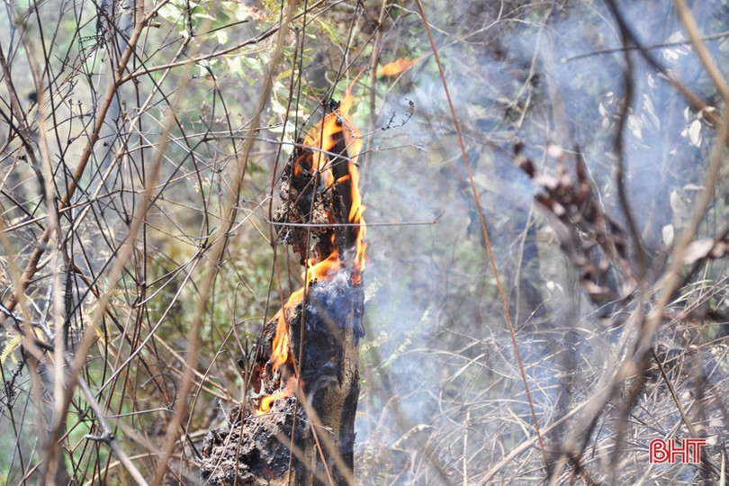 Núi Nầm Hương Sơn hoang tàn sau 2 trận cháy liên tiếp
