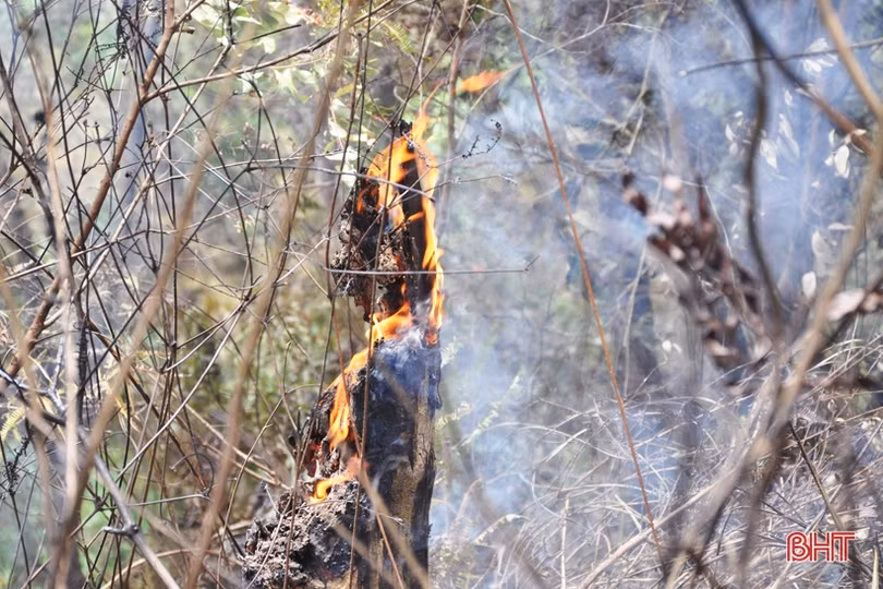 Núi Nầm Hương Sơn hoang tàn sau 2 trận cháy liên tiếp