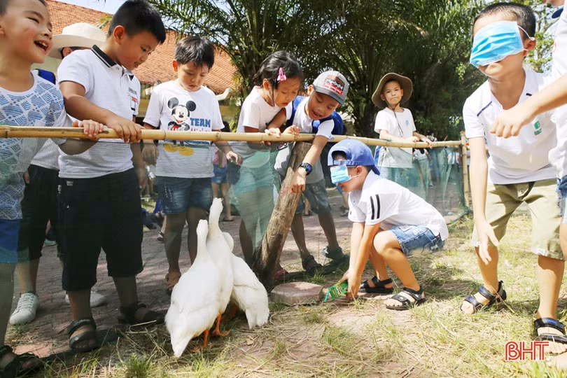 Ngày hè lý thú của học sinh trường Albert Einstein