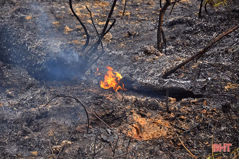 Hương Sơn sẵn sàng lực lượng ứng cứu, ngăn lửa rừng bùng phát trở lại