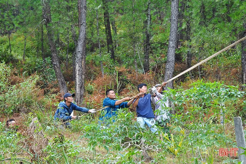 Hương Sơn sẵn sàng lực lượng ứng cứu, ngăn lửa rừng bùng phát trở lại