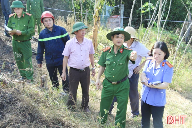 Bao giờ rừng lại xanh tươi!?