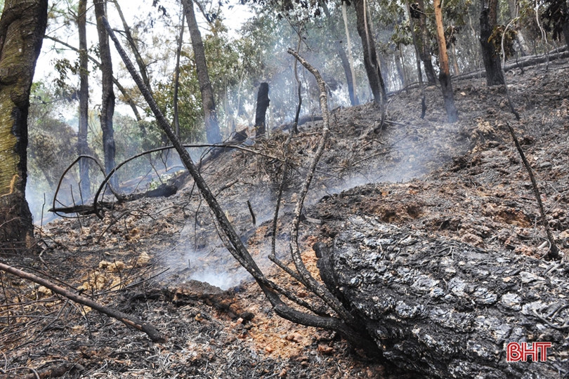 Núi Nầm Hương Sơn hoang tàn sau 2 trận cháy liên tiếp