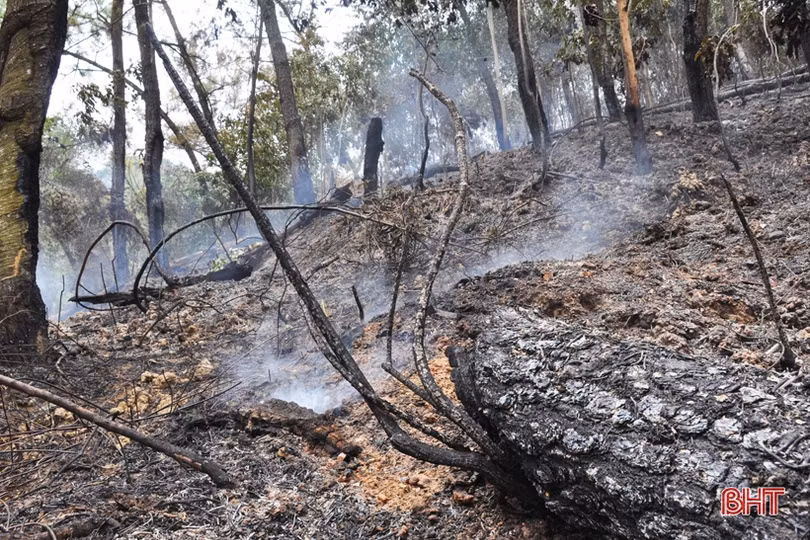 Núi Nầm Hương Sơn hoang tàn sau 2 trận cháy liên tiếp