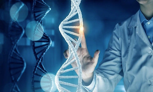 Công bố quốc tế về giải trình tự gene người Việt