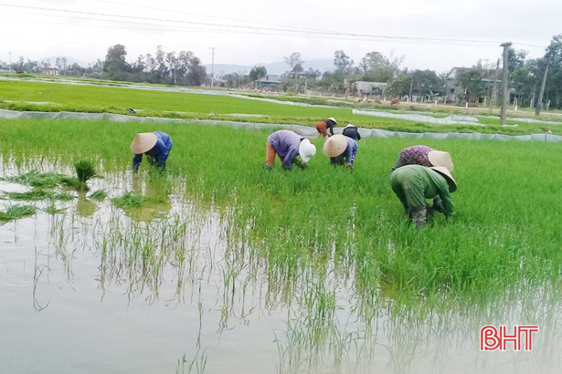 Phụ nữ Hà Tĩnh tổ chức nhiều hoạt động chào mừng ngày 8/3