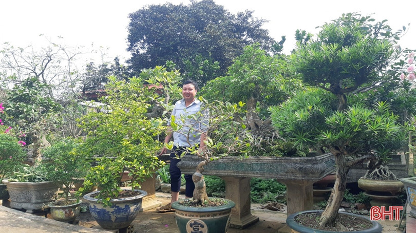 Mê mẩn những vườn cây cảnh độc - lạ ở huyện lúa Hà Tĩnh