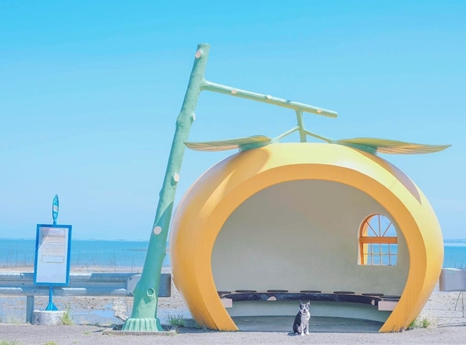 Độc đáo nhà chờ xe buýt hoa quả ở Nhật ảnh 8 Độc đáo nhà chờ xe buýt hoa quả ở Nhật